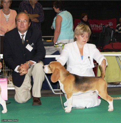 Grant - Euro dog show